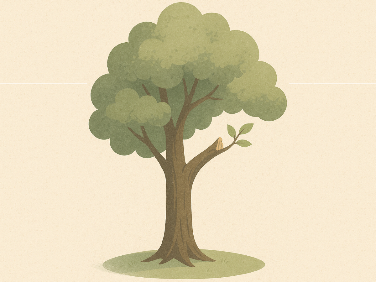 A tree with a missing limb but with new growth at the wound